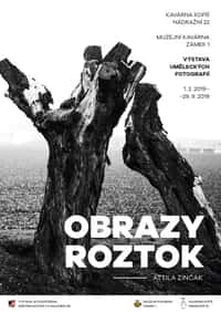 Obrazy Roztok