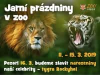 Oslavte v táborské zoologické zahradě o jarních prázdninách narozeniny tygra Rockyho