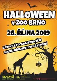 Halloween v zoo