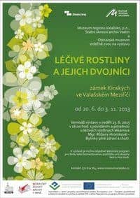 Léčivé rostliny a jejich dvojníci