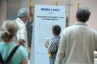 Procvičte šedé buňky na výstavě Mozek v akci v OC Šestka