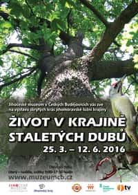 Život v krajině staletých dubů