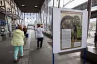 Výstava Zoo Ostrava na vybraných nádražích v kraji