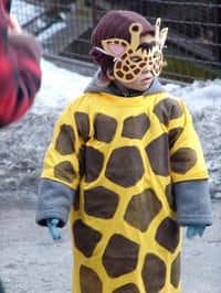 Masopust v Zoo Ostrava