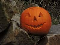 Halloween a lampionový průvod