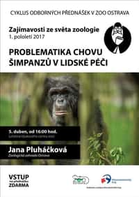 Pozvánka na přednášku v Zoo Ostrava: Problematika chovu šimpanzů v lidské péči