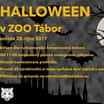 ZOO Tábor oslaví Halloween lampionovým průvodem