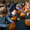 Halloween a lampionový průvod v zoo