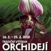 Výstava orchidejí, bromélií, sukulentů