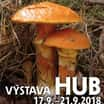 Výstava hub