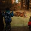 Štědrý den a Nový rok v Zoo Brno