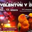 Valentýn v zoo