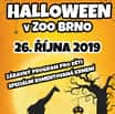 Halloween v zoo