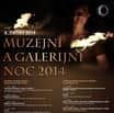 Muzejní a galerijní noc 2014