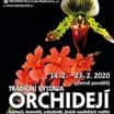 Tradiční výstava orchidejí
